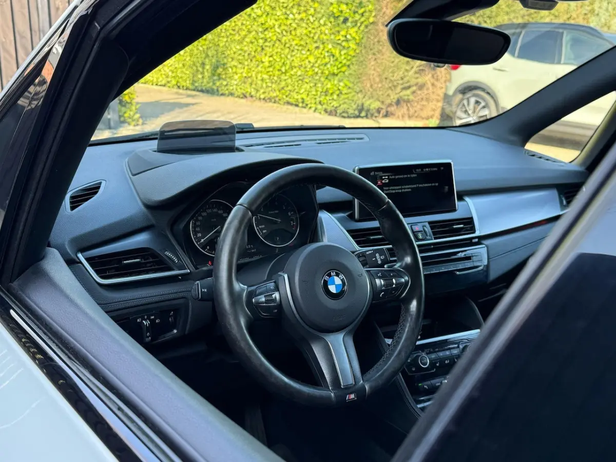 225xe M Sport HUD LEER