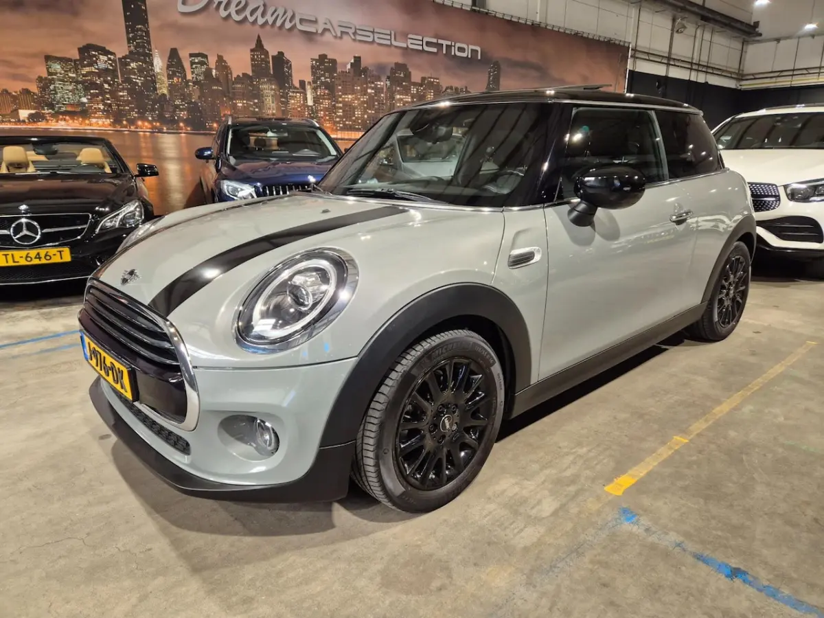 1.5 Pepper - Panoramadak - Navigatie - Airco - Cruise - NL Auto