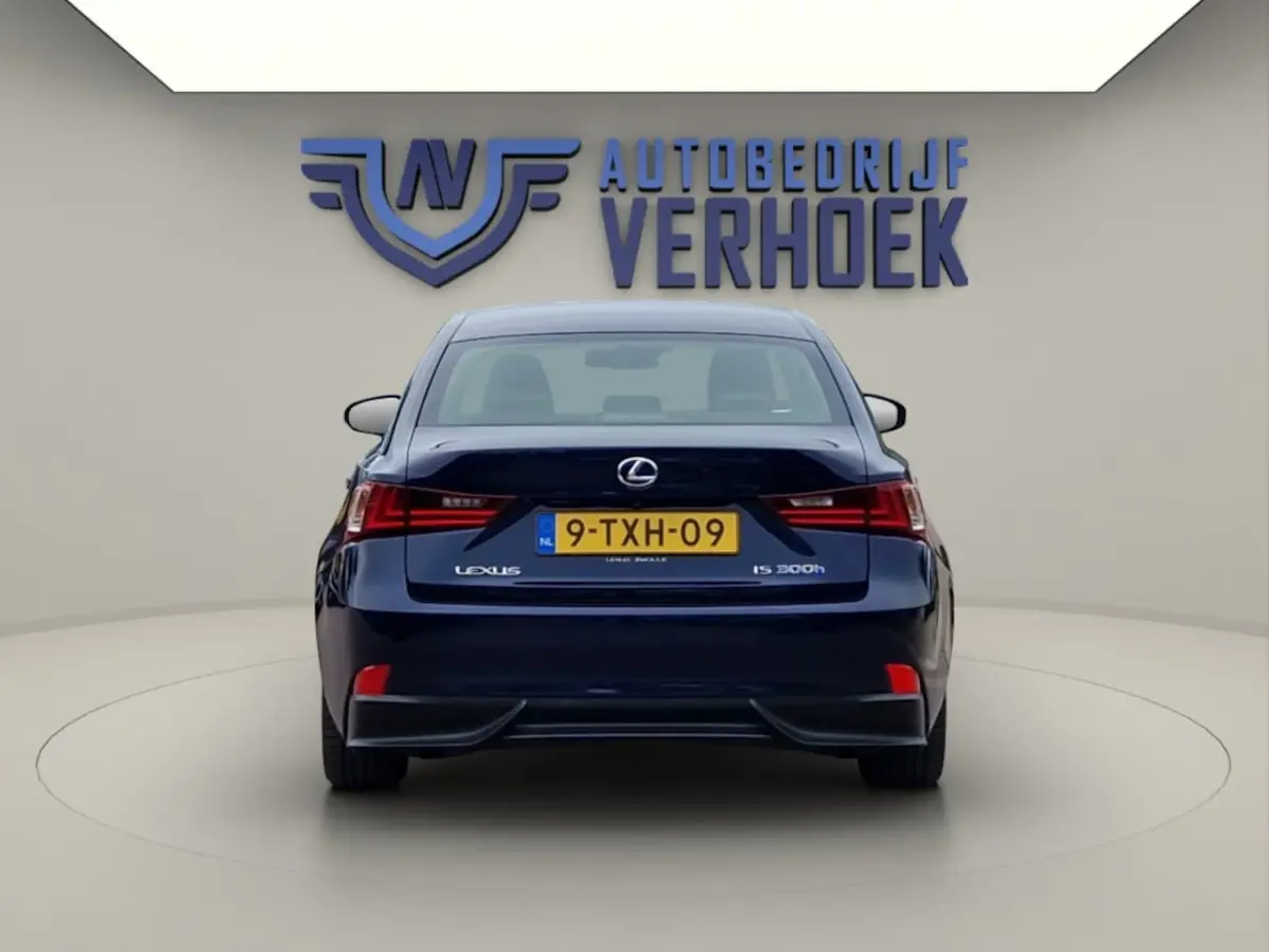 300h Edition NL Auto - Goed onderhouden