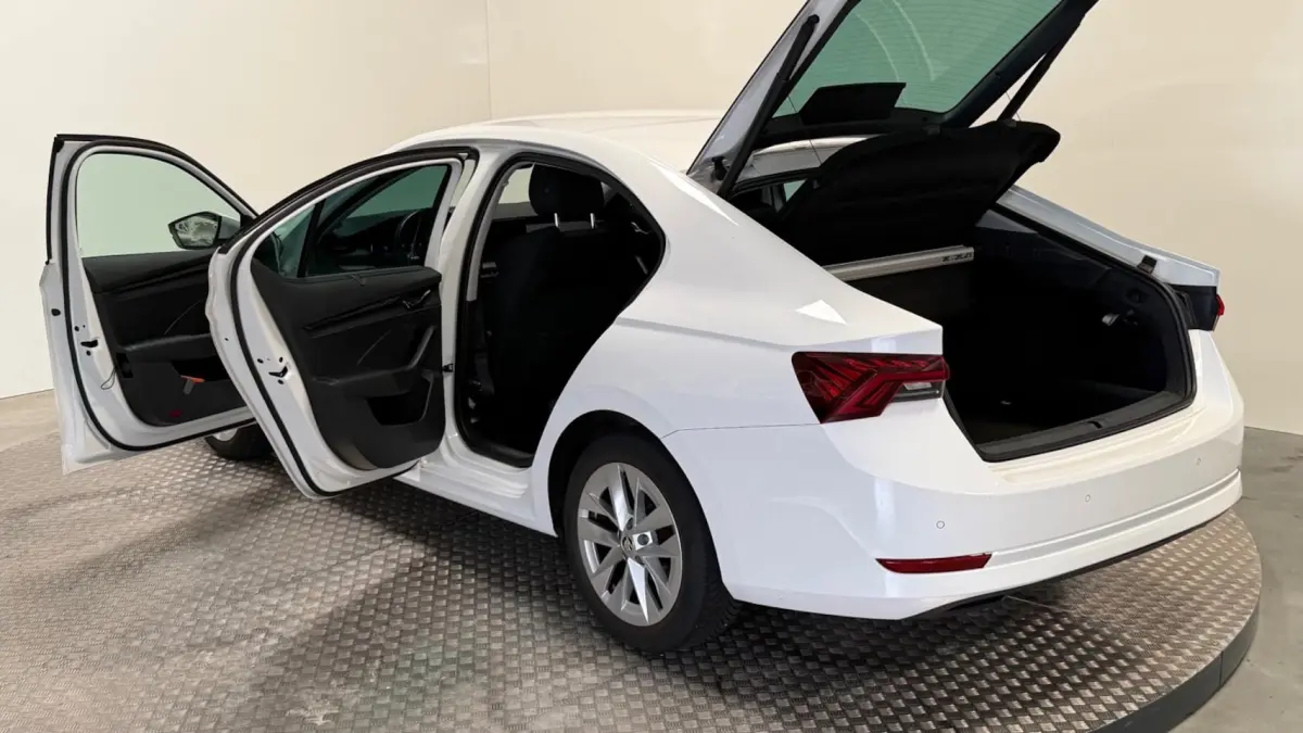 1.0 e-TSI Business Edition Benzine automaat navigatie carplay cruisecontrole airco