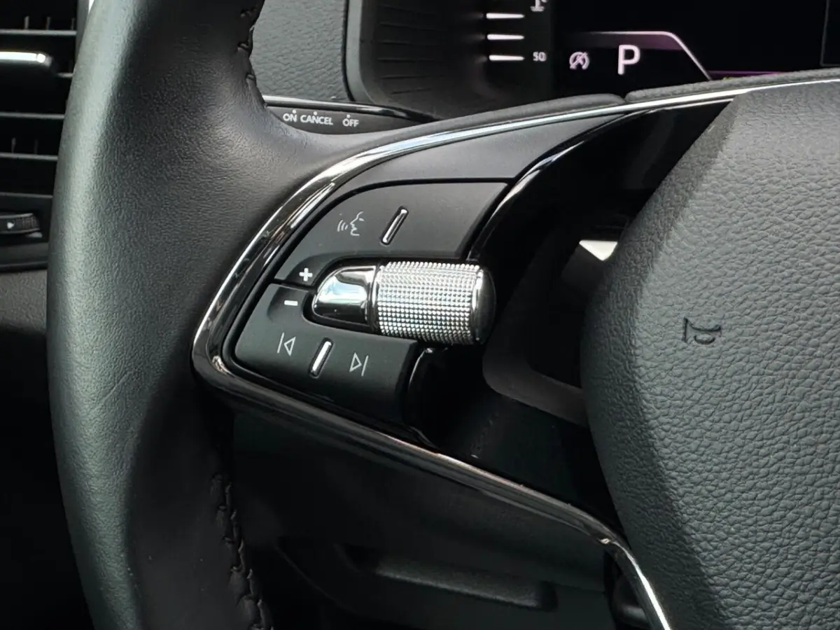 1.5 TSI ACT Business Edition Plus / CarPlay