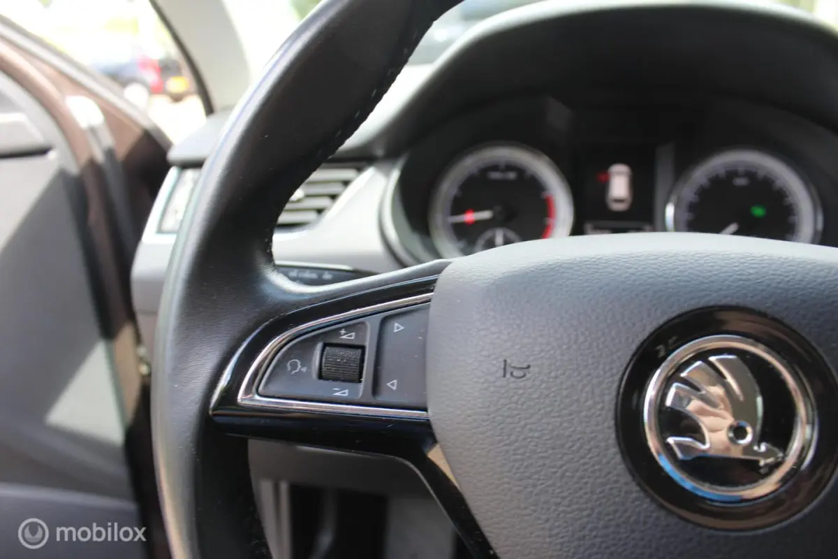 1.0 TSI LED Trekhaak Stoel.verw|Automaat