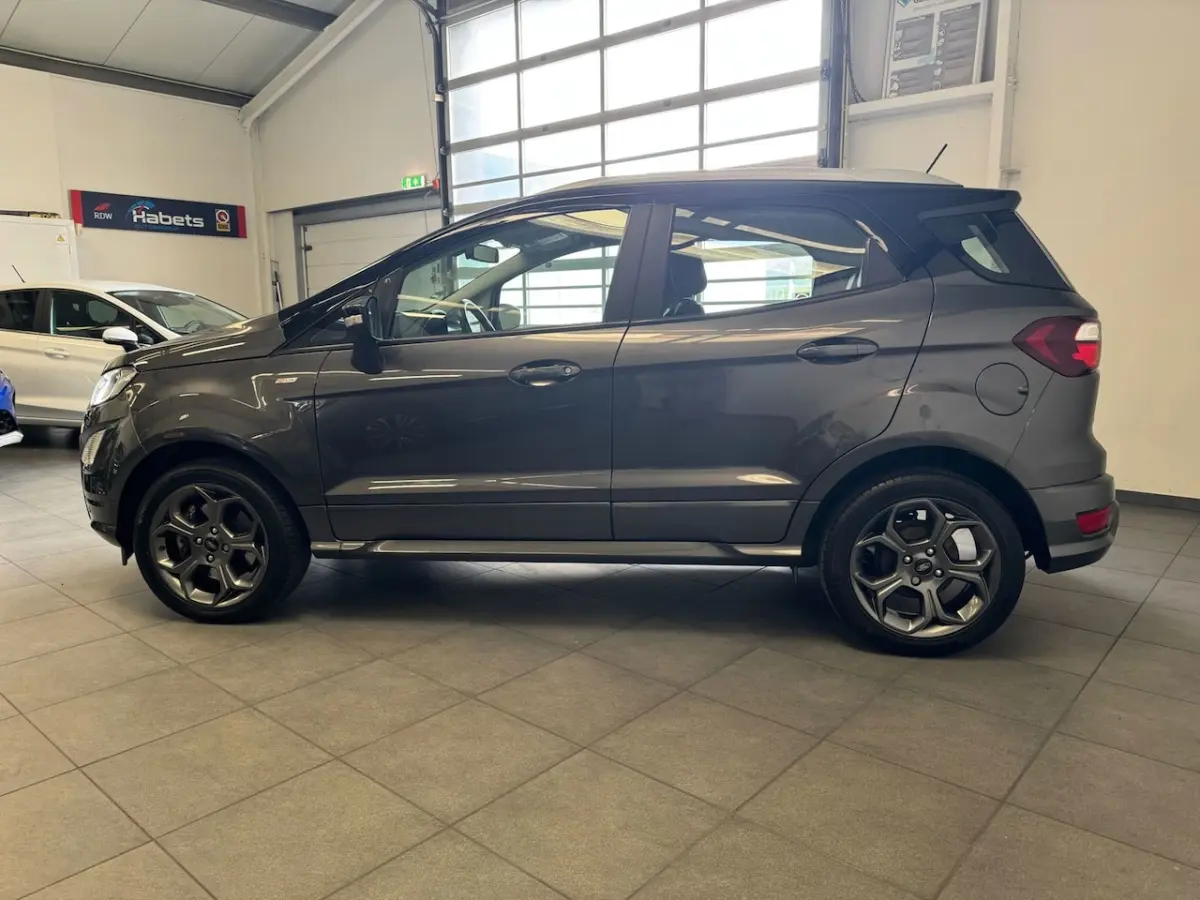 125pk ST-Line / Winterpack/Camera/carplay/Keyless/alcantara/Led/cruise