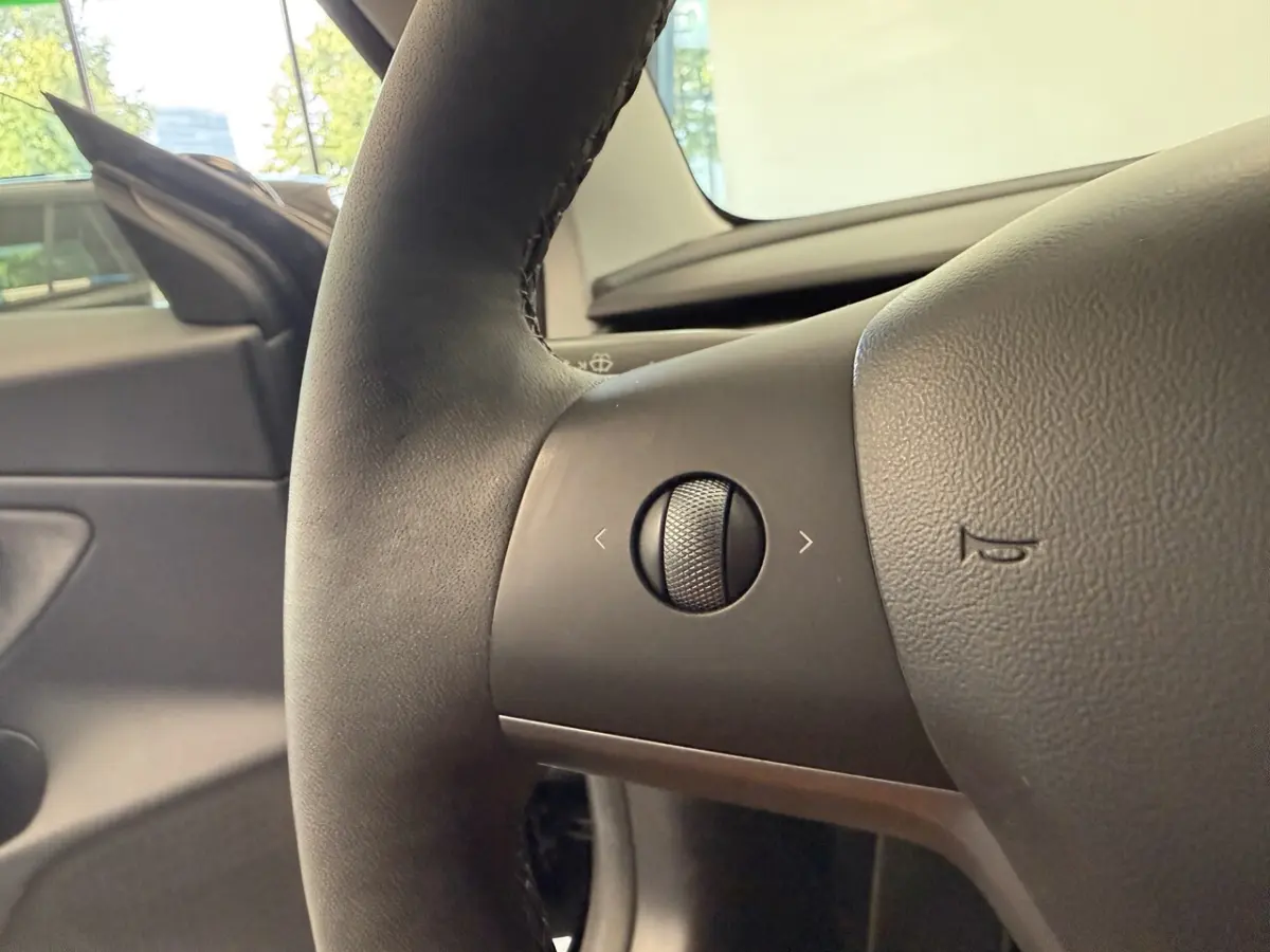 Long Range AWD 75 kWh Panorama dak Leder interieur