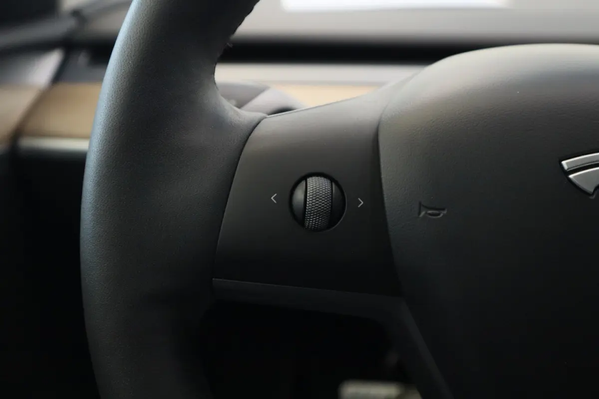 Performance AWD 75 kWh SOH 95% ACC Panoramadak HW3 24 Maanden garantie* (Vraag naar de voo