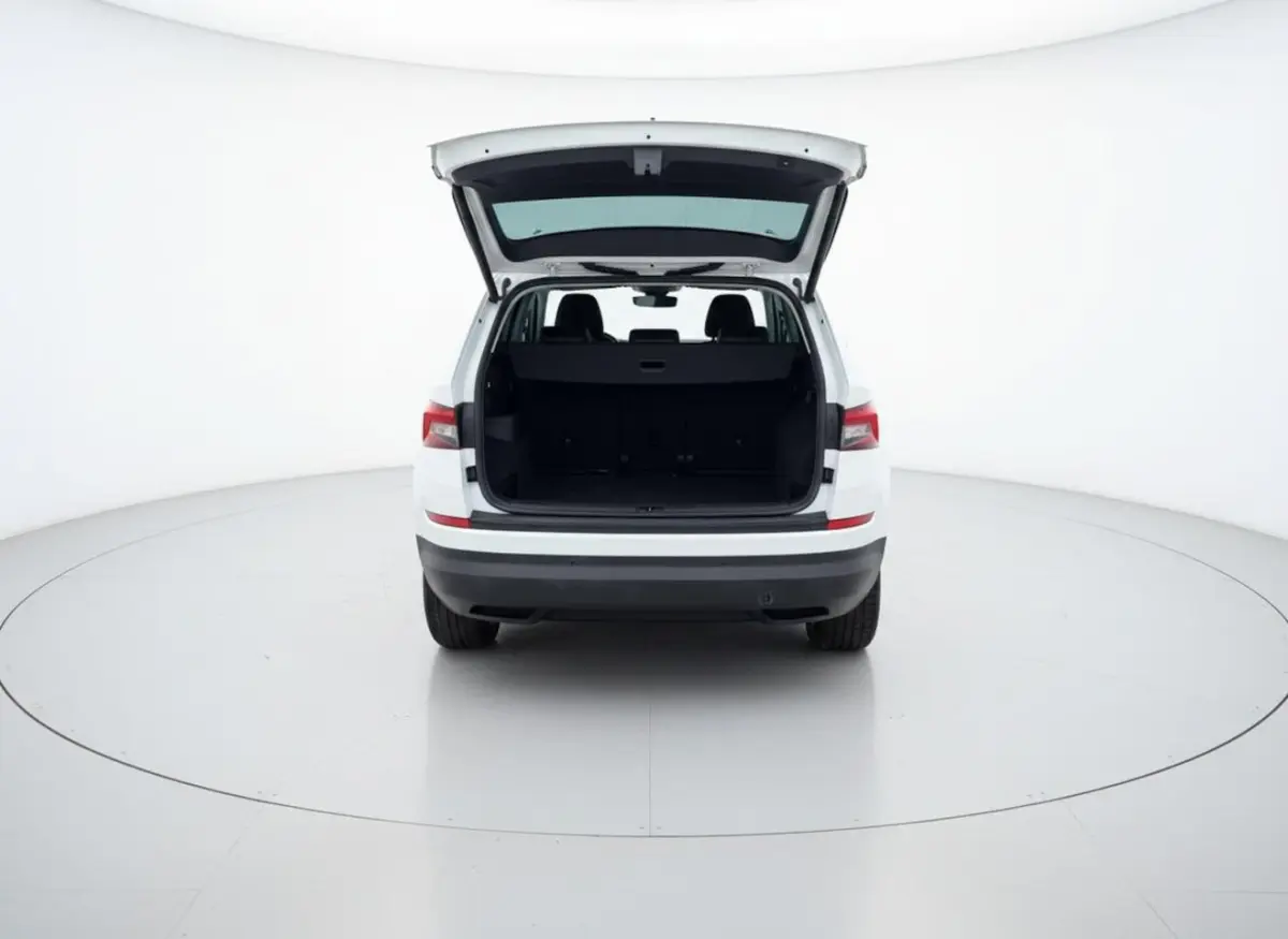 1.5 TSI Limited Business Edition