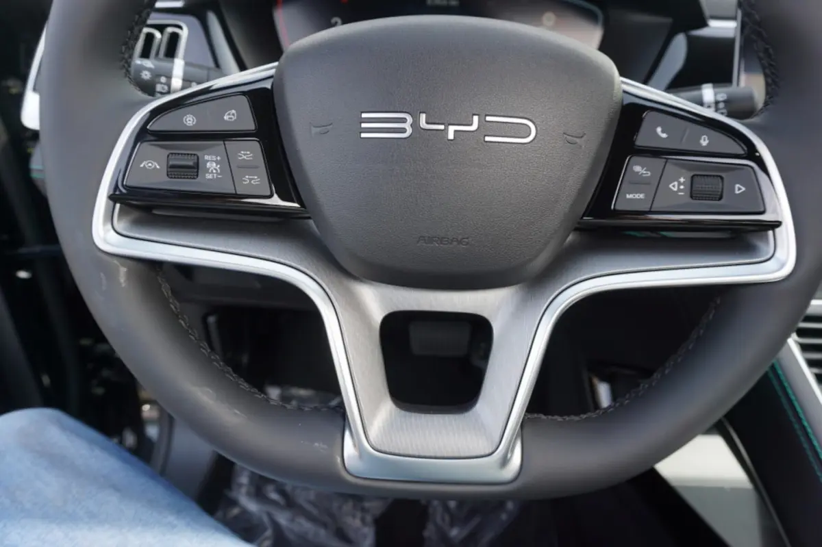1.5 DM-i 218pk FWD Boost Plug in Hybrid Panoramadak