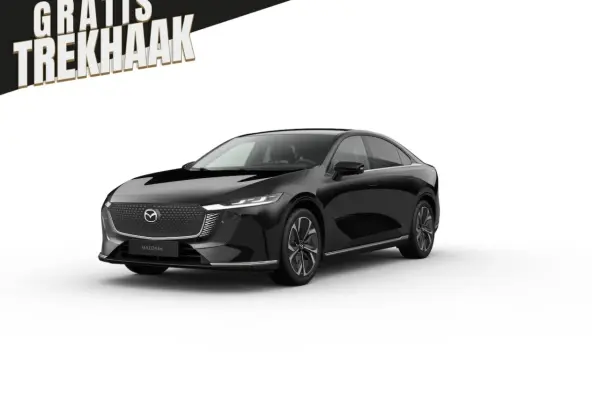 68, 8 kWh Takumi Business Edition | 360Â° View Monitor | Alarmsysteem (geen certificering)