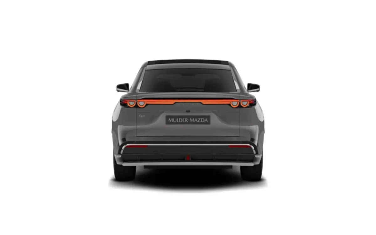 68, 8 kWh Takumi Business Edition | 360Â° View Monitor | Alarmsysteem (geen certificering)