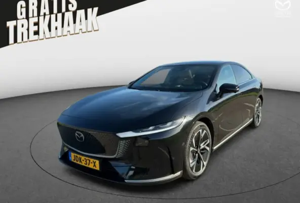 68, 8 kWh Takumi Plus Business Edition | 360Â° View Monitor | Alarmsysteem (geen certificer
