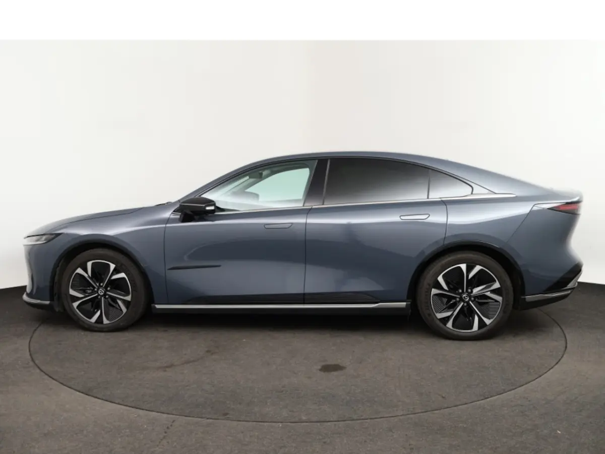68, 8 kWh Takumi Business Edition | 360Â° View Monitor | Alarmsysteem (geen certificering)