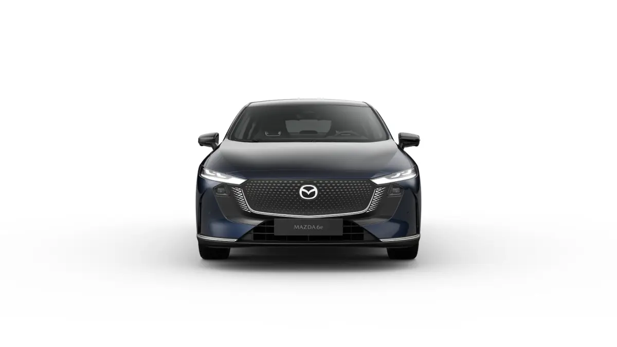 68, 8 kWh Takumi Business Edition | 360Â° View Monitor | Alarmsysteem (geen certificering)