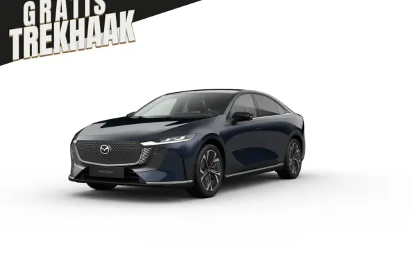 80 kWh Takumi Business Edition | 360Â° View Monitor | Alarmsysteem (geen certificering) | C