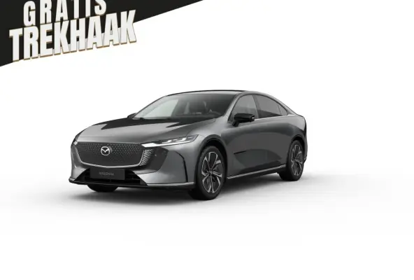 68, 8 kWh Takumi Plus Business Edition | 360Â° View Monitor | Alarmsysteem (geen certificer