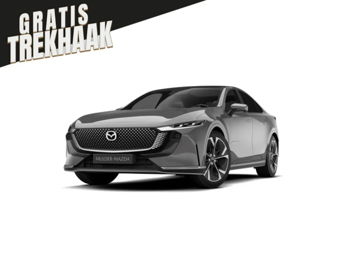 68, 8 kWh Takumi Plus Business Edition | 360Â° View Monitor | Alarmsysteem (geen certificer
