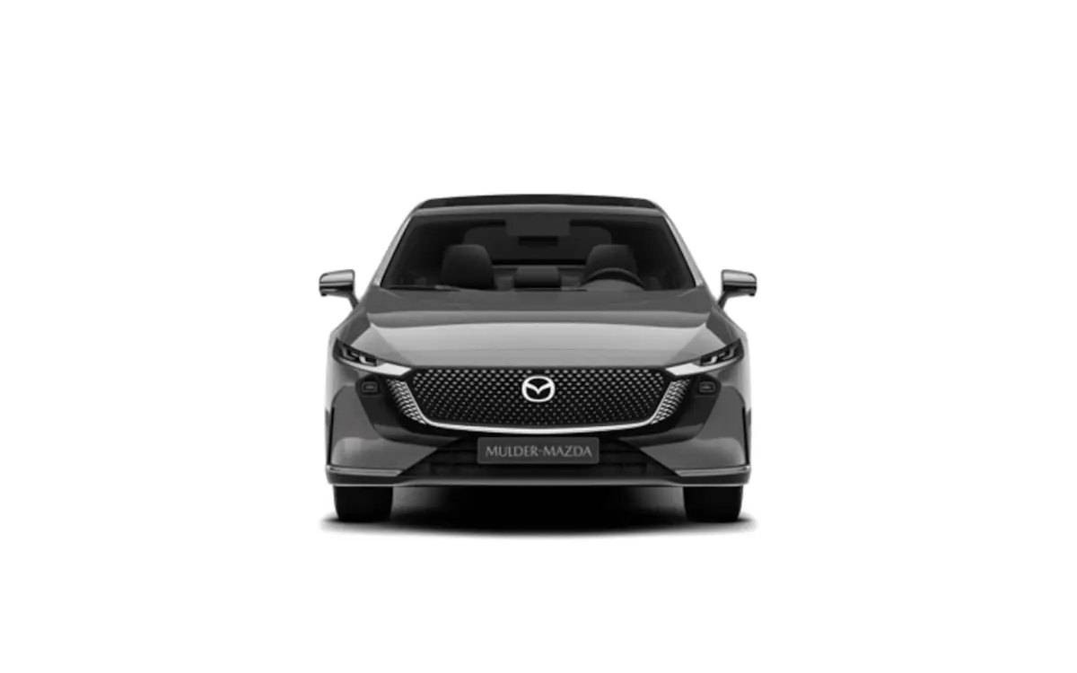 68, 8 kWh Takumi Plus Business Edition | 360Â° View Monitor | Alarmsysteem (geen certificer