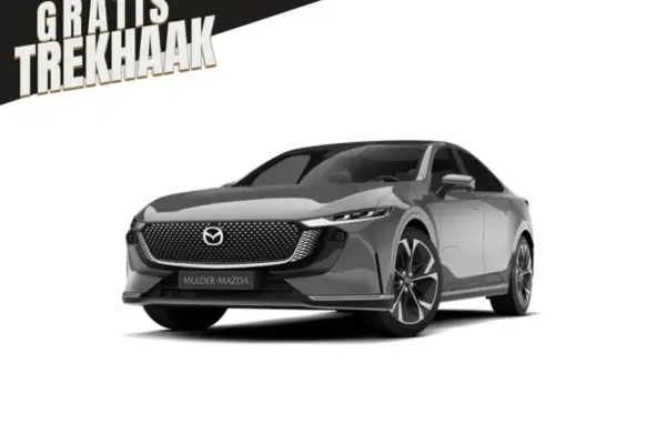68, 8 kWh Takumi Plus Business Edition | 360Â° View Monitor | Alarmsysteem (geen certificer