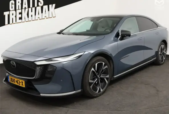 80 kWh Takumi Business Edition | 360Â° View Monitor | Alarmsysteem (geen certificering) | C