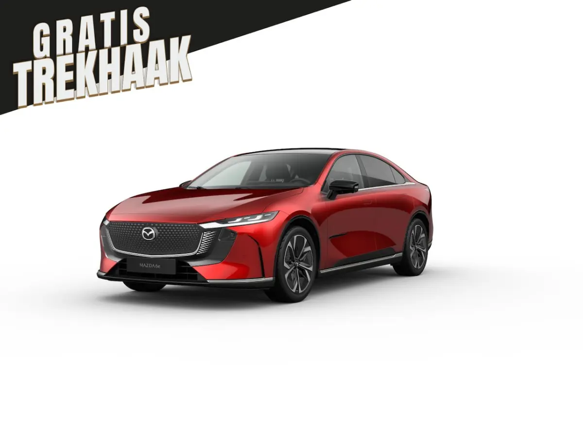 68, 8 kWh Takumi Business Edition | 360Â° View Monitor | Alarmsysteem (geen certificering)