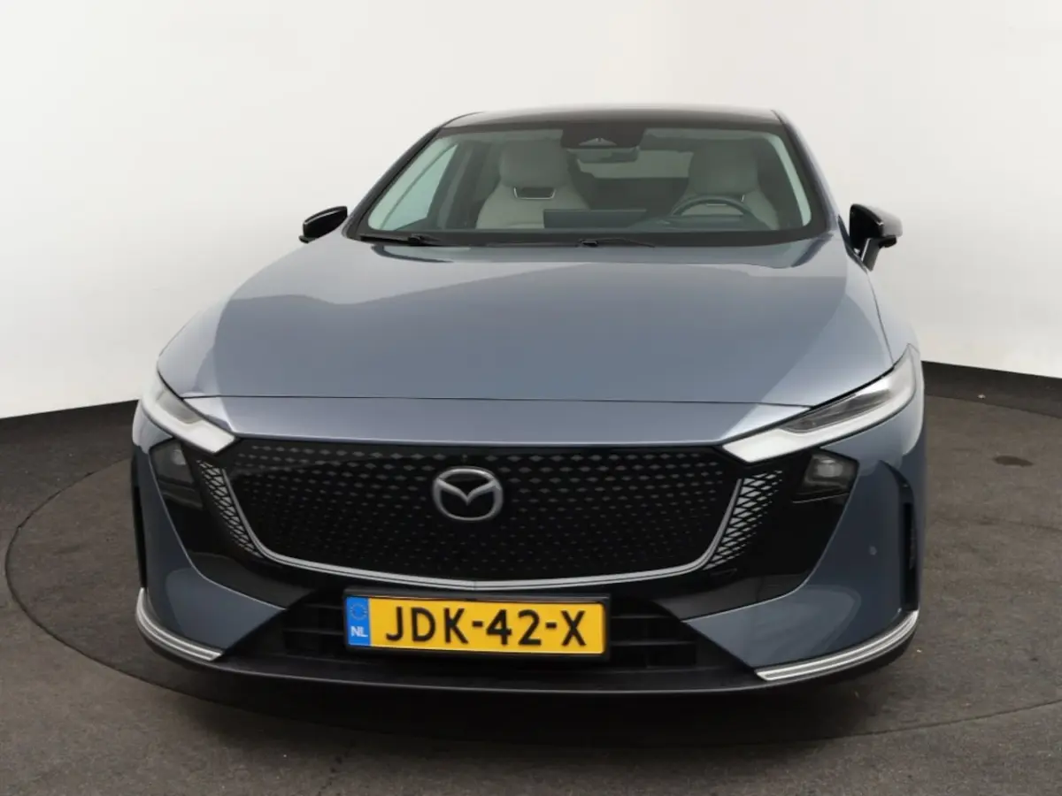 68, 8 kWh Takumi Business Edition | 360Â° View Monitor | Alarmsysteem (geen certificering)