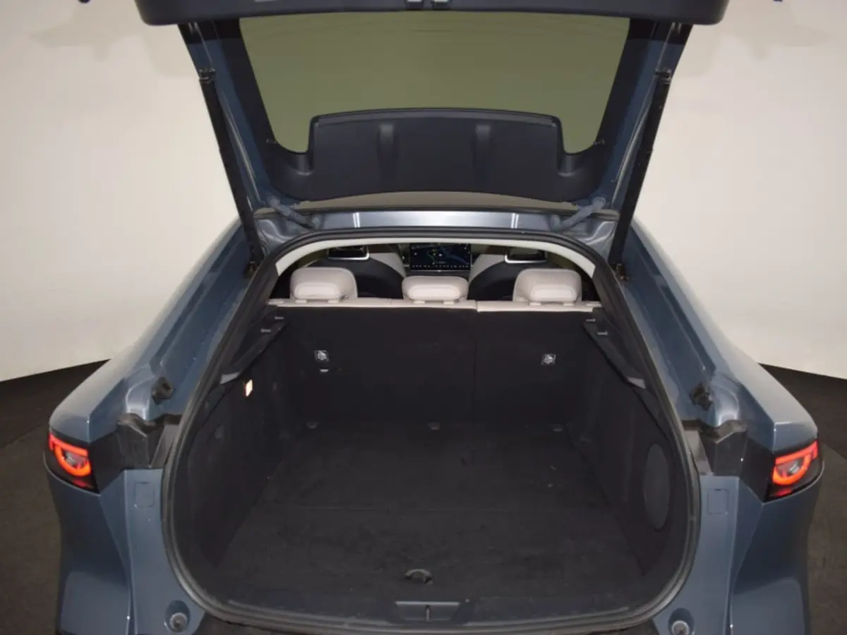 68, 8 kWh Takumi Business Edition | 360Â° View Monitor | Alarmsysteem (geen certificering)