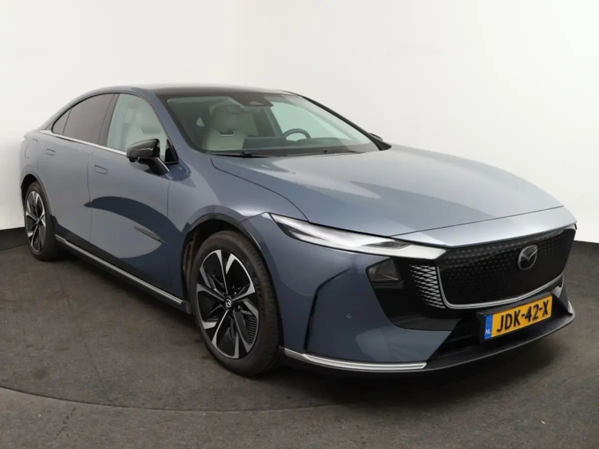 68, 8 kWh Takumi Business Edition | 360Â° View Monitor | Alarmsysteem (geen certificering)