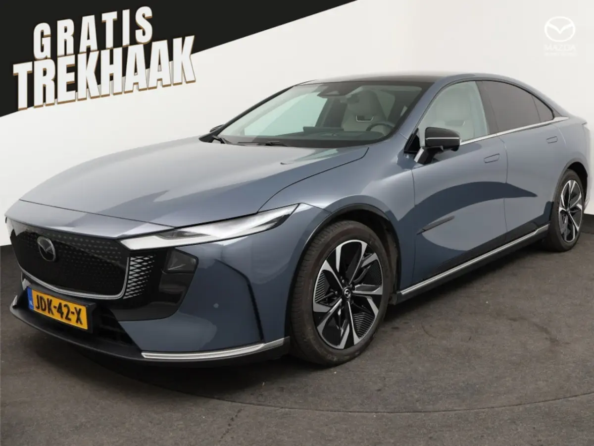 68, 8 kWh Takumi Business Edition | 360Â° View Monitor | Alarmsysteem (geen certificering)
