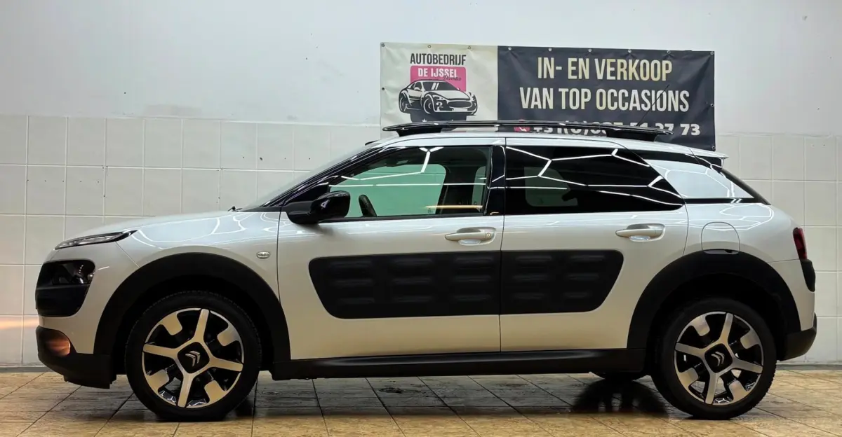 1.2 P-Tech Shine/3DE EIG / Dealer O.H / TOP STAAT
