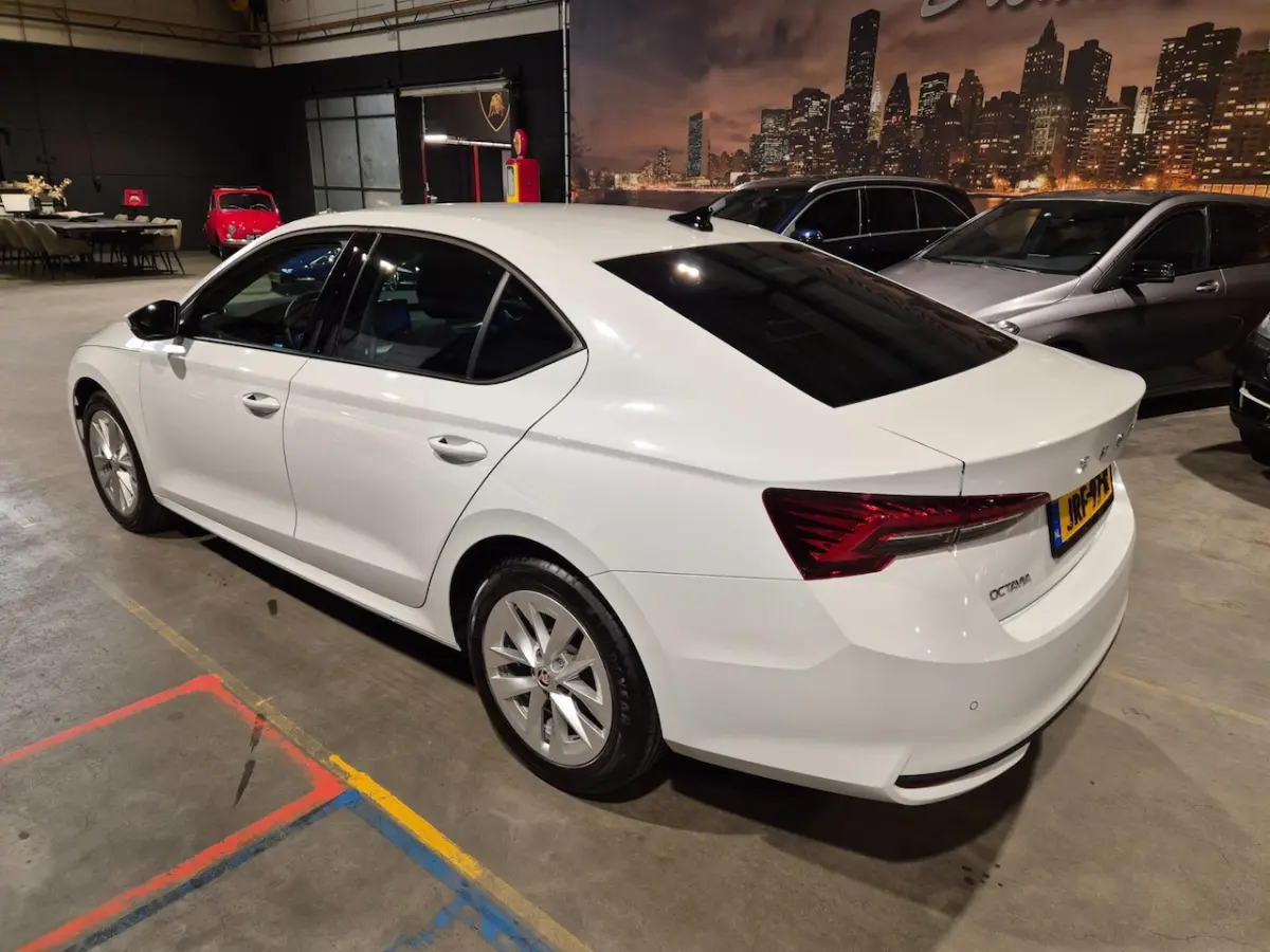 1.5 TSI MHEV Business - Navi - CarPlay - Camera - Adapt Cr - Climate - Stoelverw - Keyless