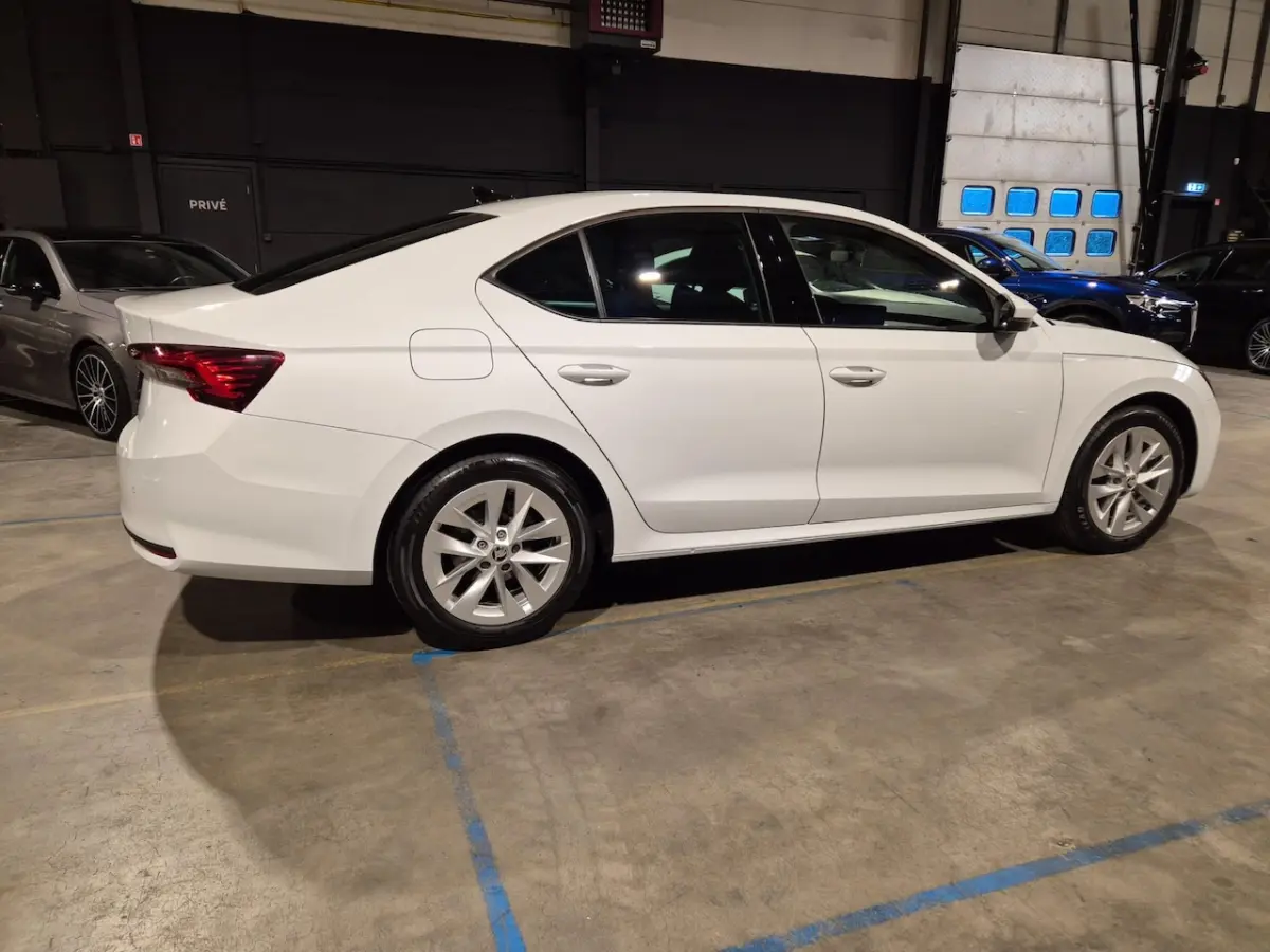 1.5 TSI MHEV Business - Navi - CarPlay - Camera - Adapt Cr - Climate - Stoelverw - Keyless