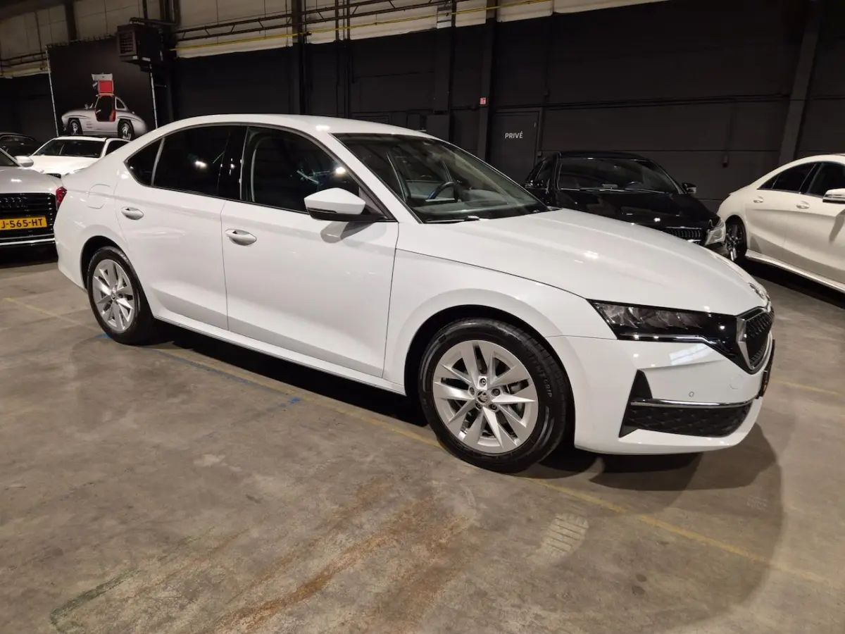 1.5 TSI MHEV Business - Navi - CarPlay - Camera - Adapt Cr - Climate - Stoelverw - Keyless