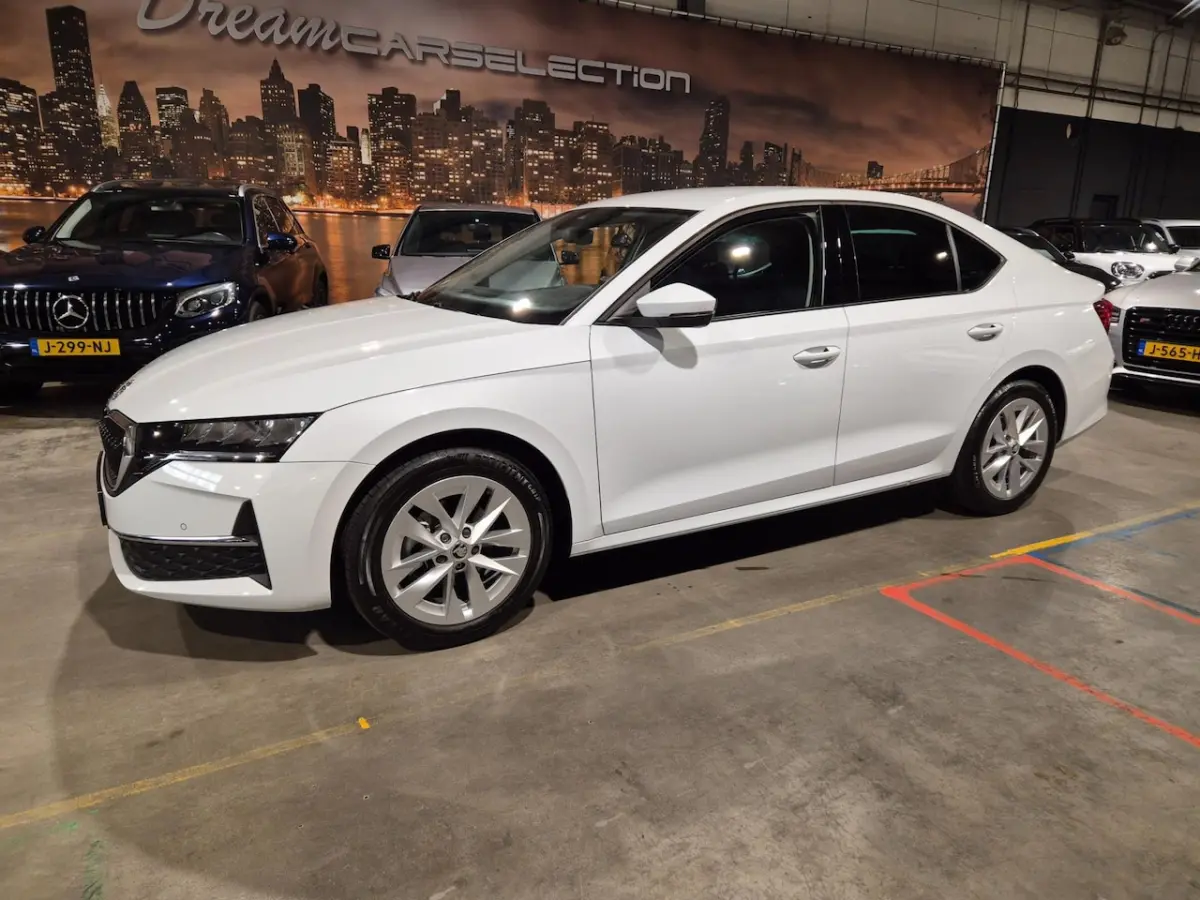 1.5 TSI MHEV Business - Navi - CarPlay - Camera - Adapt Cr - Climate - Stoelverw - Keyless