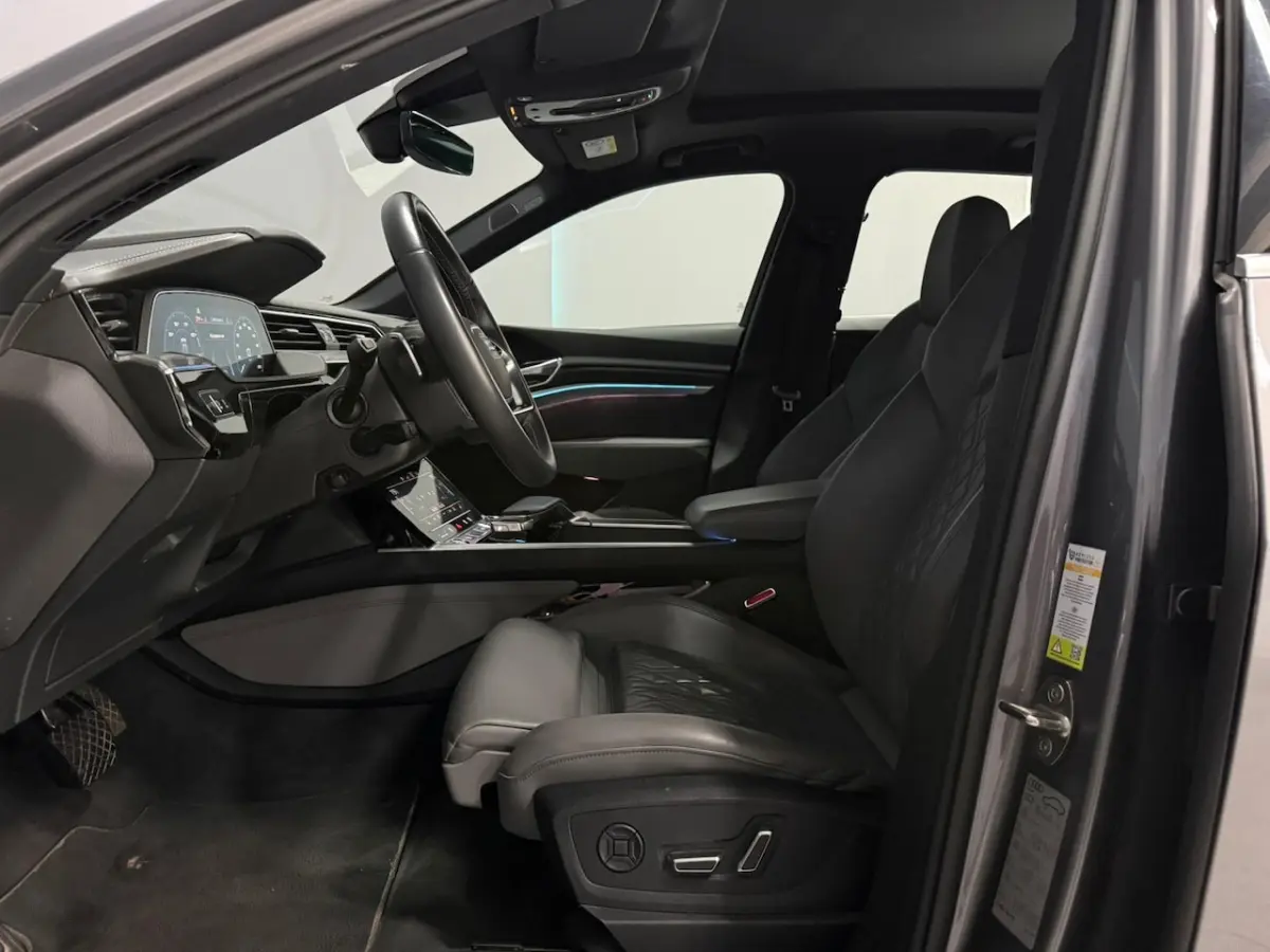 e-tron 55 quattro advanced Pro Line Plus 95 kWh