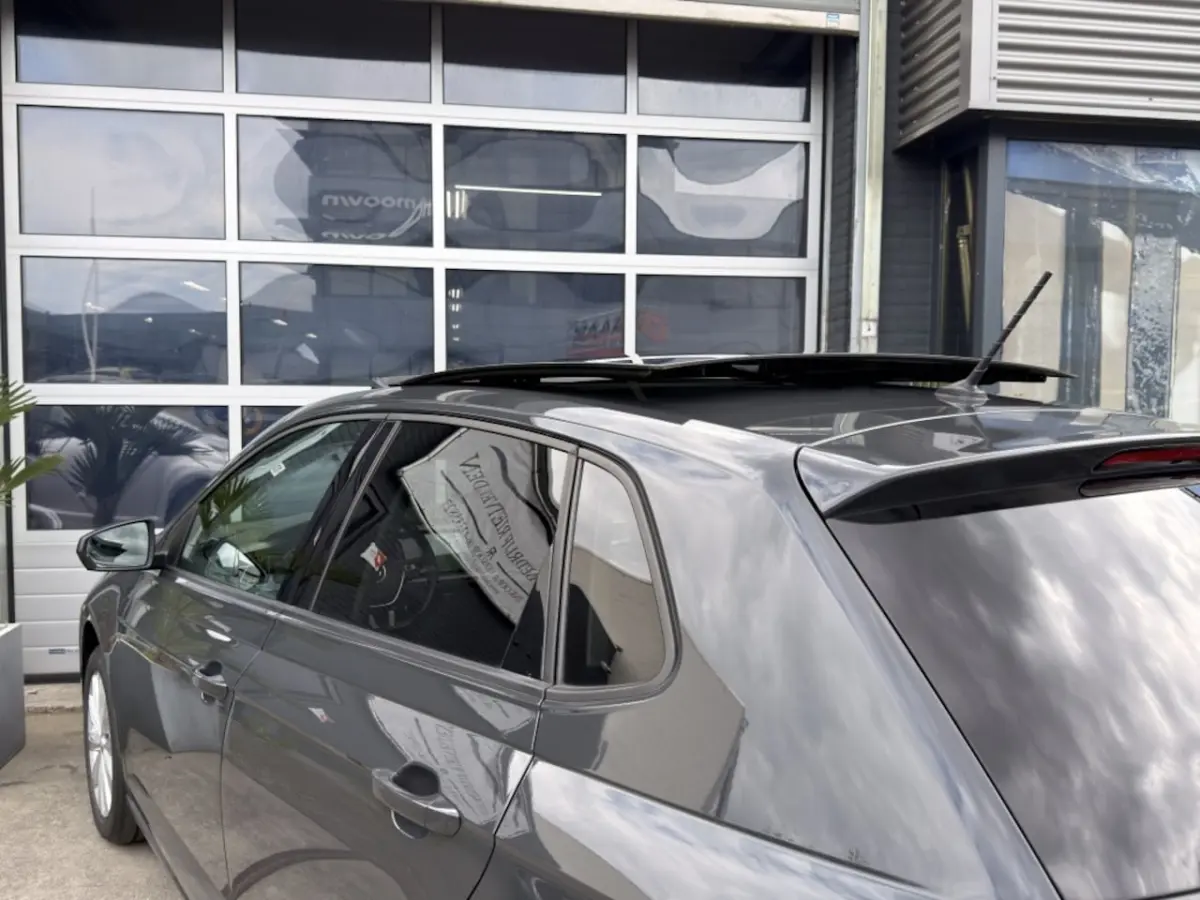 1.0 TSI Panoramadak Carplay LED inruil mogelijk