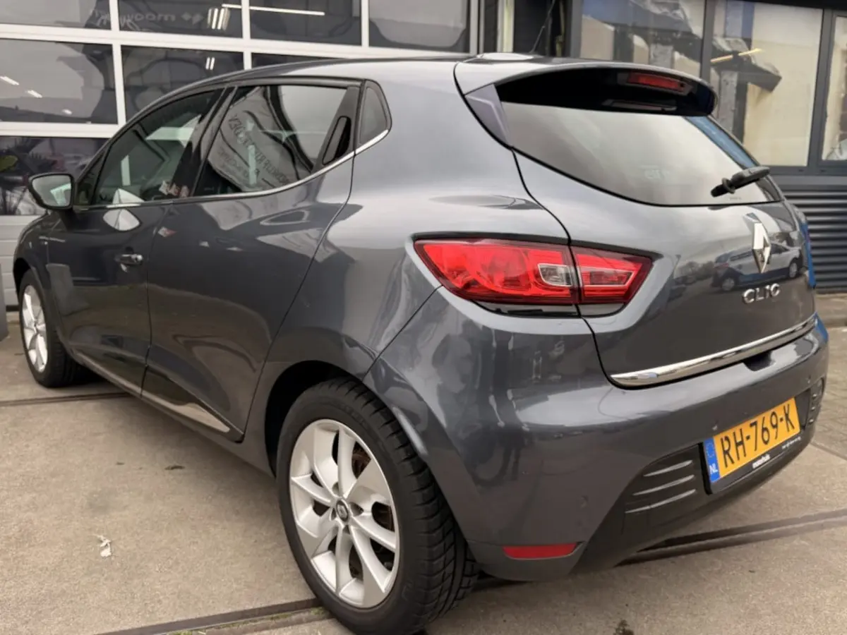 1.2 TCe Limited Navi PDC DAB+ NAP Inruil mogelijk