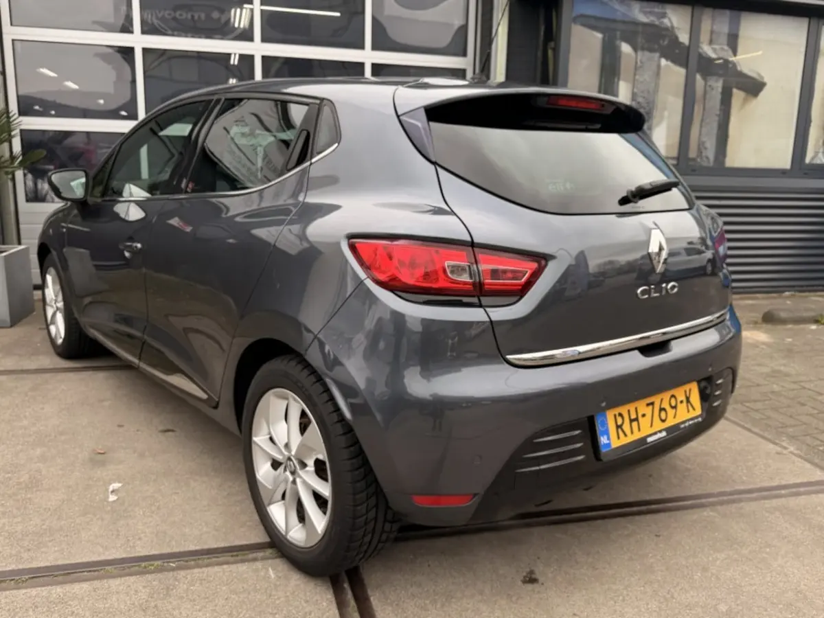 1.2 TCe Limited Navi PDC DAB+ NAP Inruil mogelijk