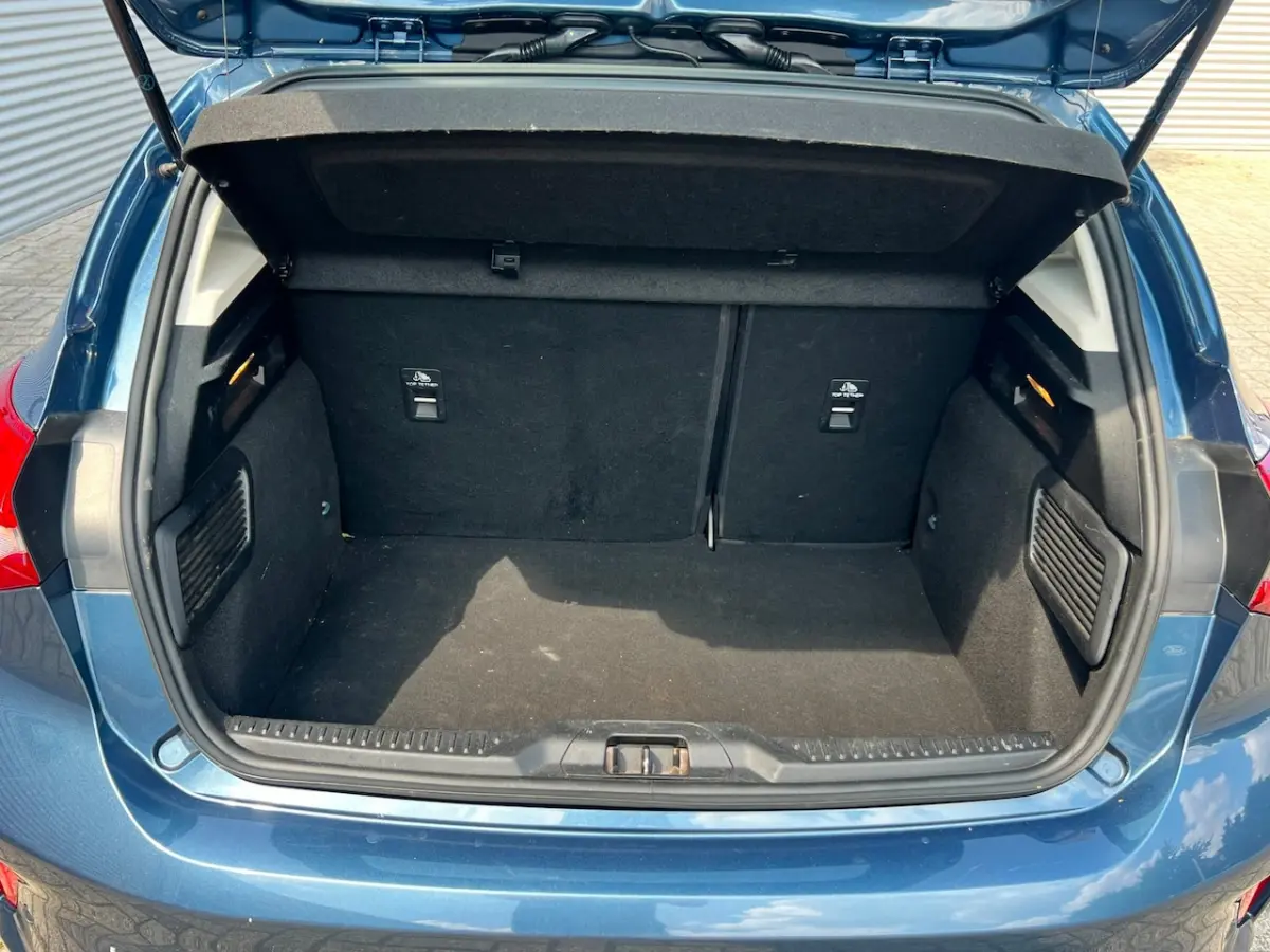 1.5 EcoBlue Titanium Business