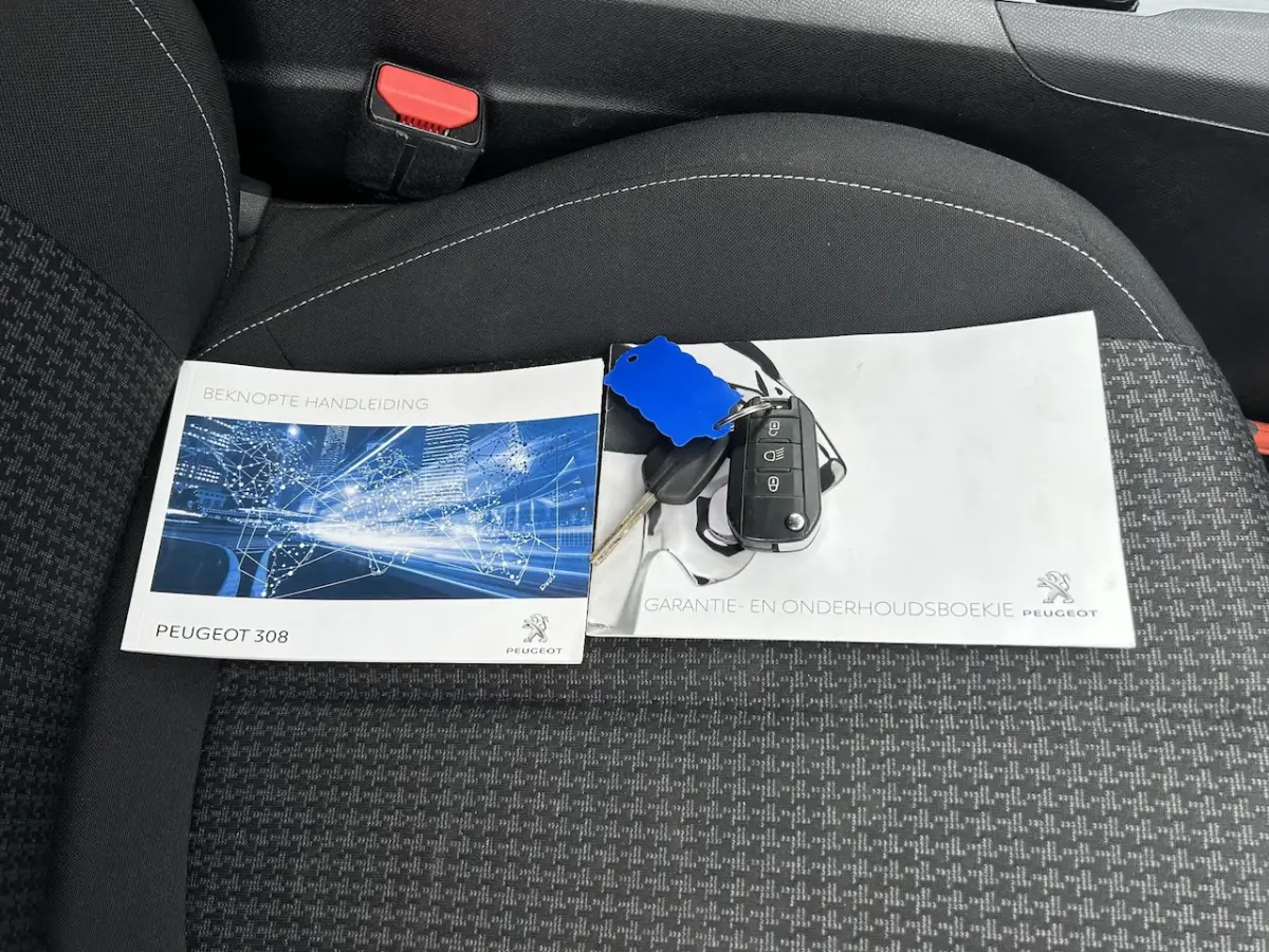 1.2 PureTech Blue Lease 100% dealer onderhouden/airco/cruise control/navigatie/